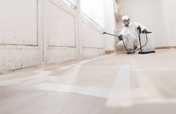 24/7 Emergency Commercial Mold Remediation experts in Bentonville, VA