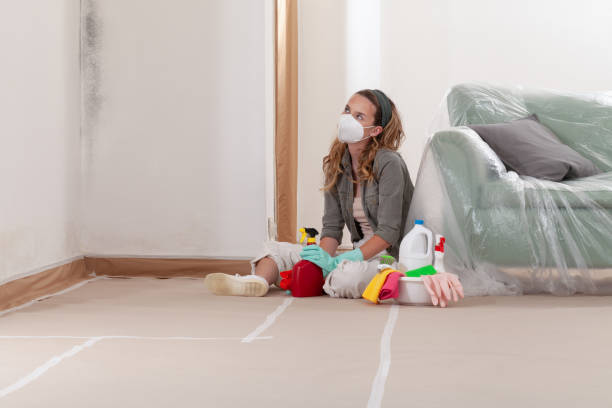 Reliable Commercial Mold Remediation contractor in Bentonville, VA by Car Mold Remediation