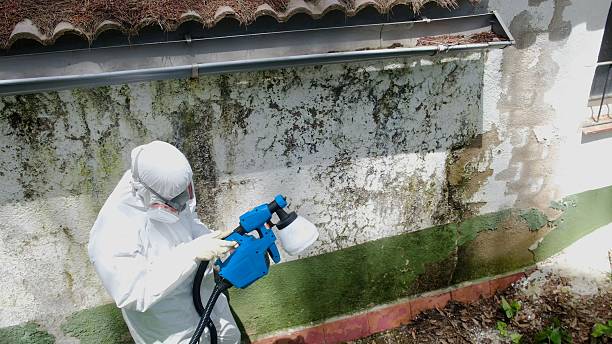 Top rated local Commercial Mold Remediation specialists in Bentonville, VA
